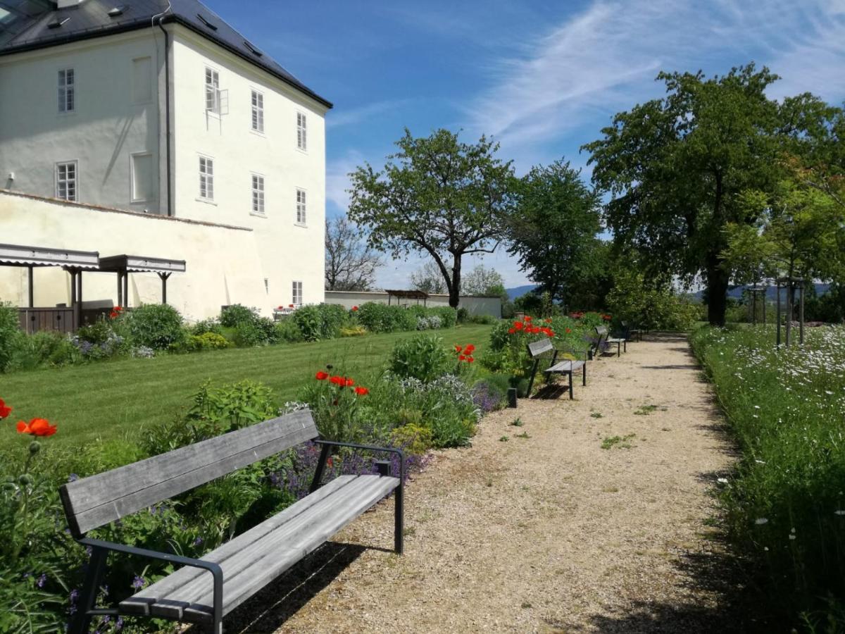 Hotel Zamek Svijany Exterior foto